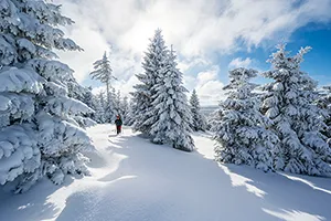 Eine verschneite Landschaft zeigt eine Person, die unter einem teilweise bewölkten Himmel durch einen Wald mit schneebedeckten Bäumen geht. Die Person trägt Winterkleidung und benutzt Wanderstöcke.