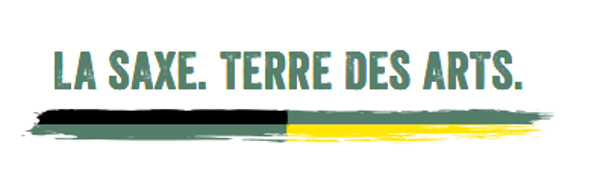 Logo Tourismus Marketing Gesellschaft Sachsen mbH