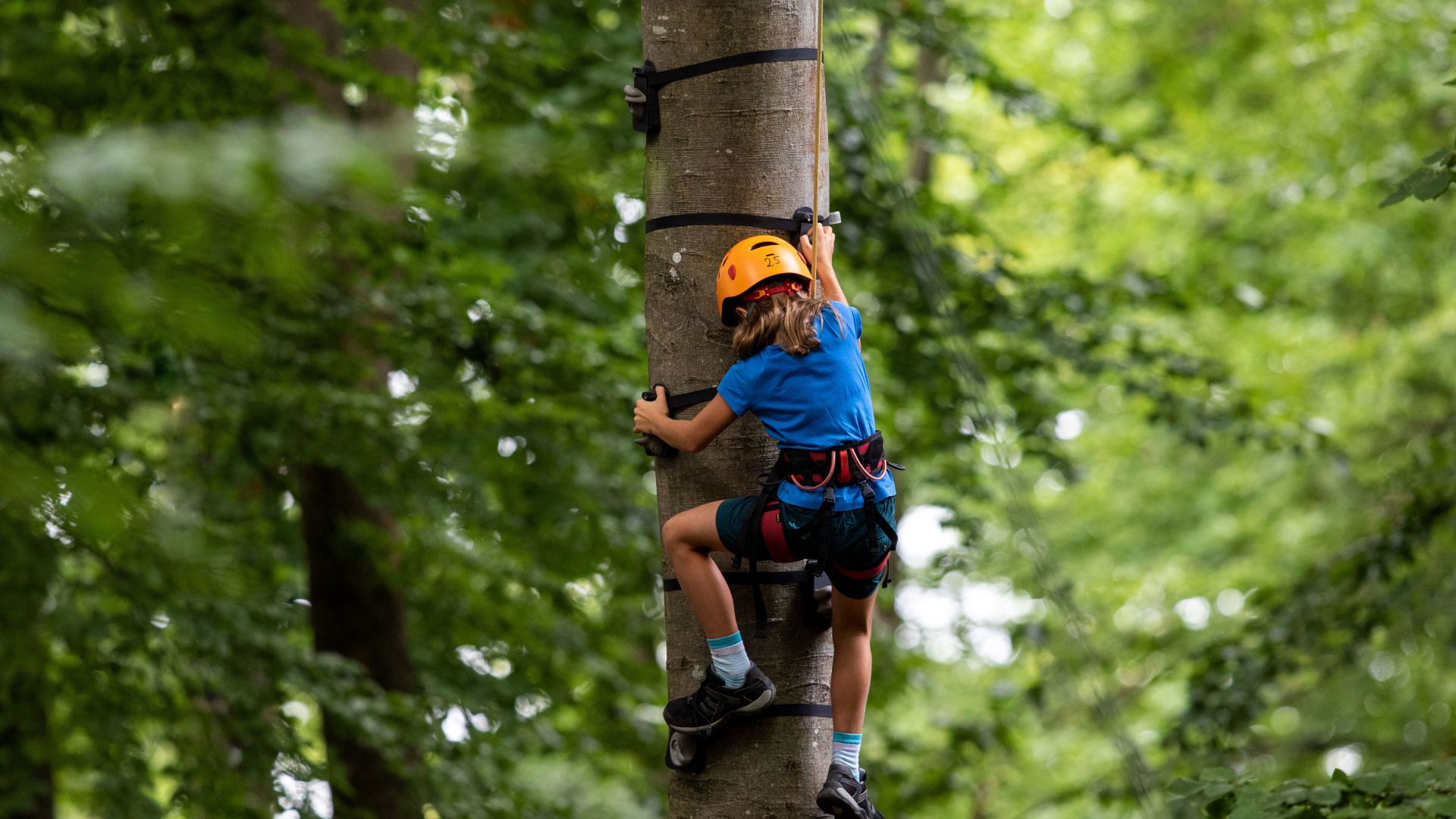 Bad Mergentheim: Kind klettert am Baum, Wildpark