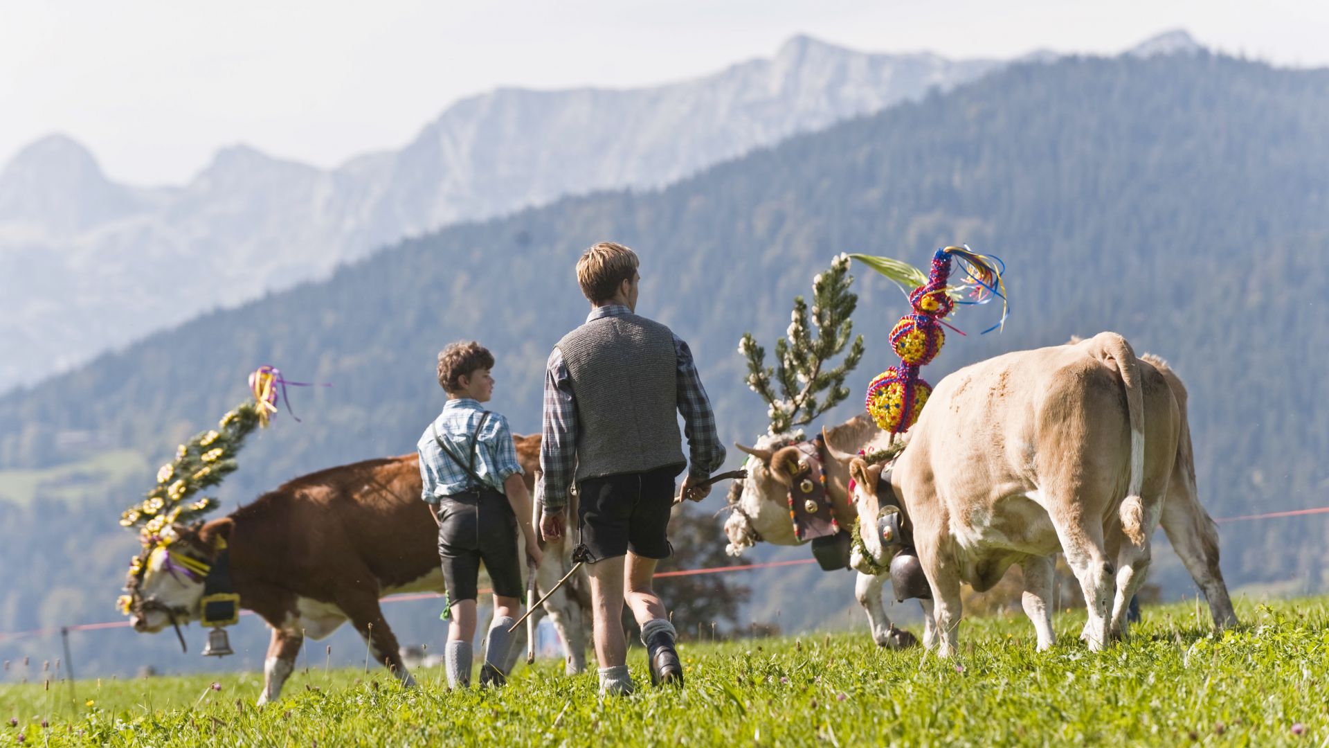 Berchtesgadener Land: Almabtrieb am Königsee