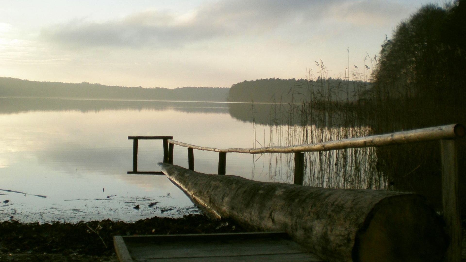 Ruppiner Land region: barrier-free swimming spot on Lake Stechlin