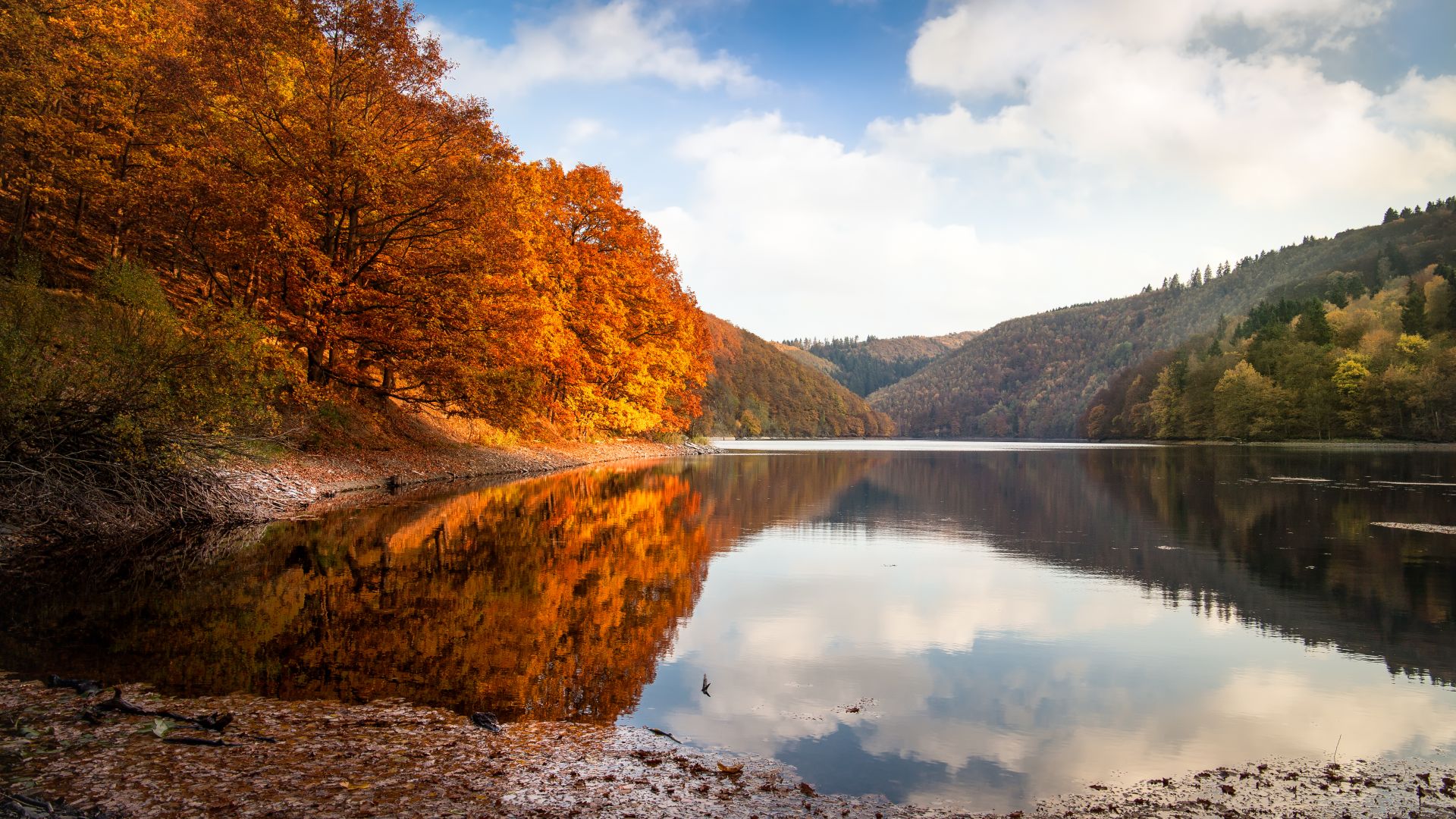 Simmerath: Herbst am Rursee im Nationalpark Eifel