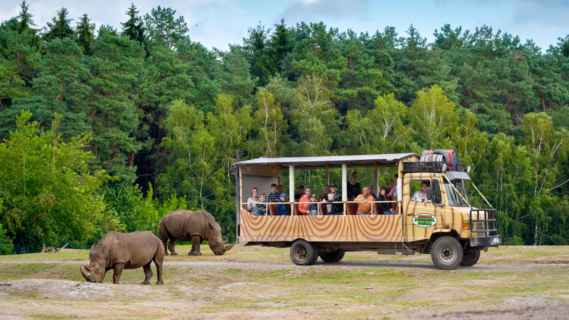 safari germany serengeti