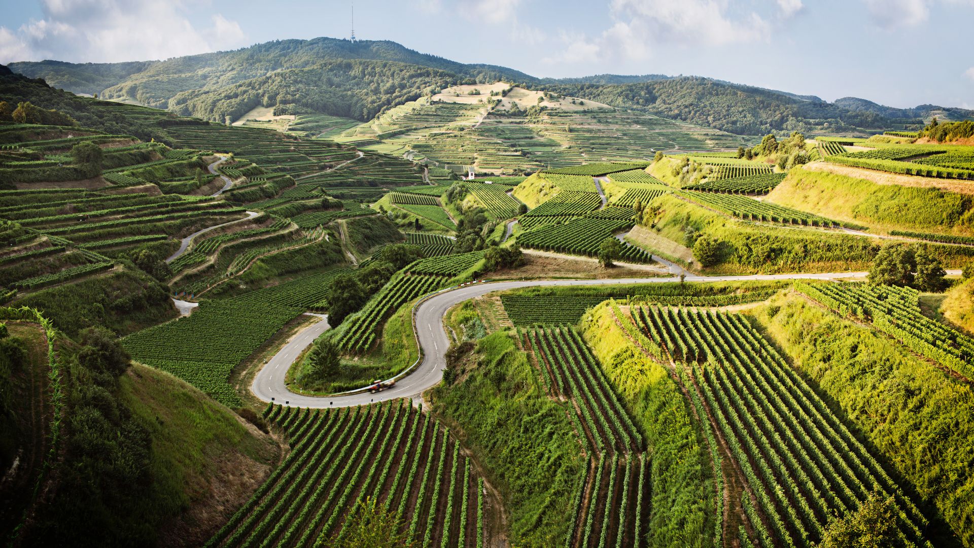 Baden wine growing region, the Kaiserstuhl hills
