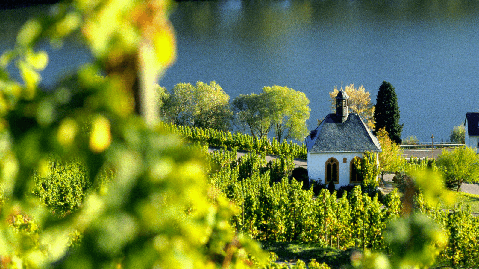Moselle wine region – chapel in the vineyards