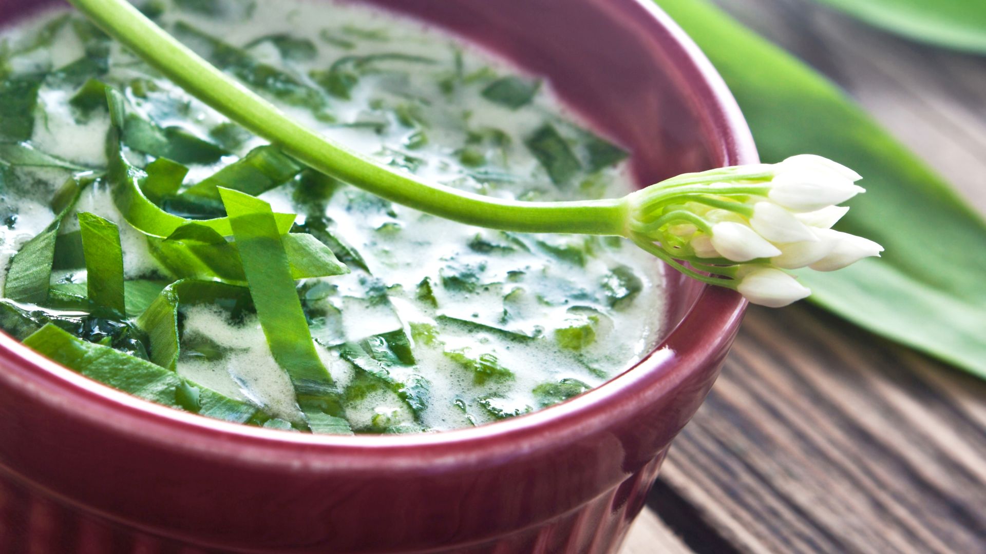 A bowl filled with a creamy soup containing green wild garlic leaves. On top of the soup is a decorative white wild garlic flower with a long green stalk. The bowl is wine red and stands on a wooden surface.