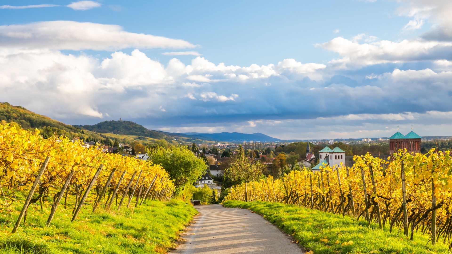 Bensheim : vignes en automne sur la route des montagnes de Hesse