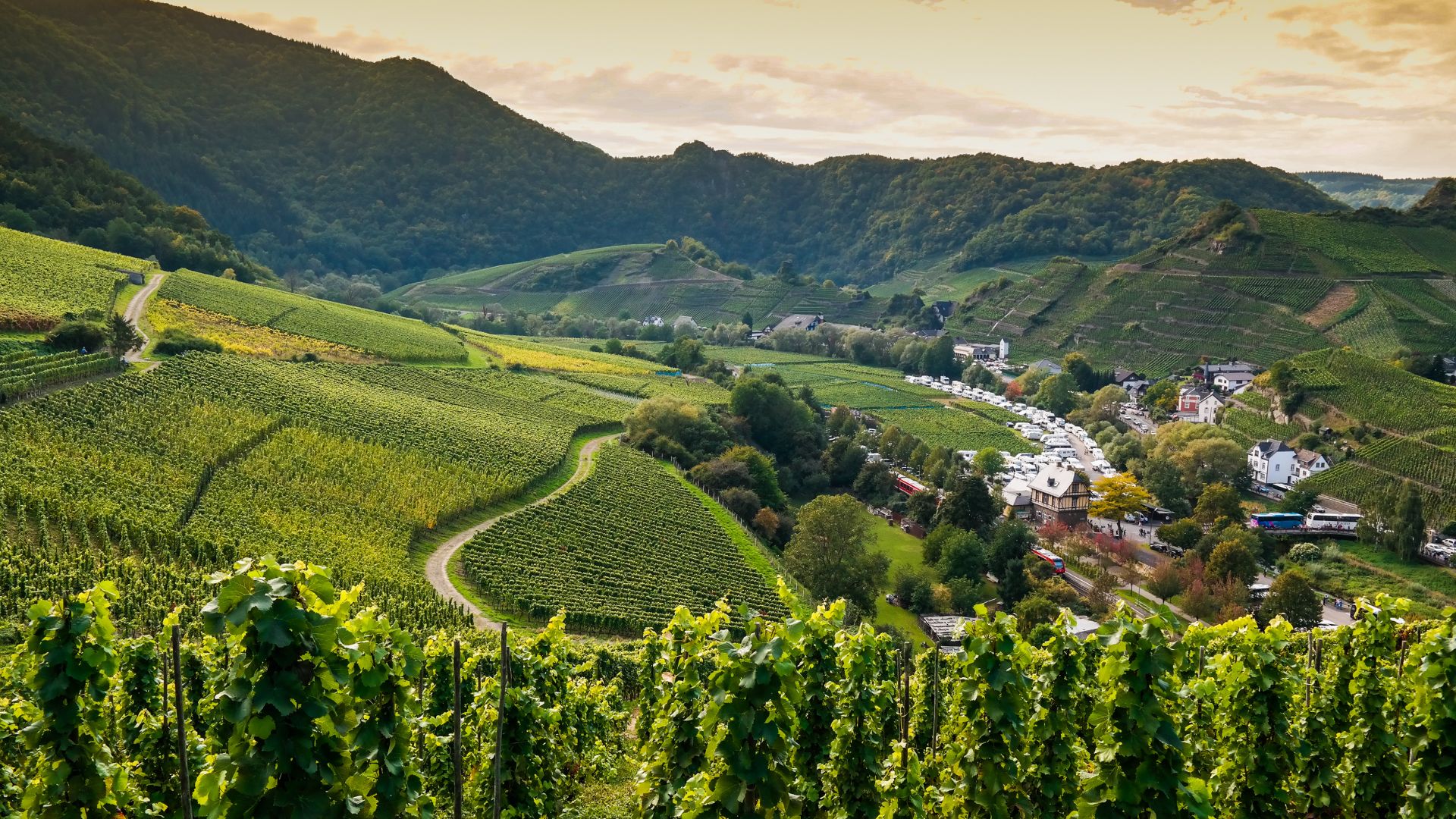 Mayschoss: View over Mayschoss and vineyards in the Ahr valley