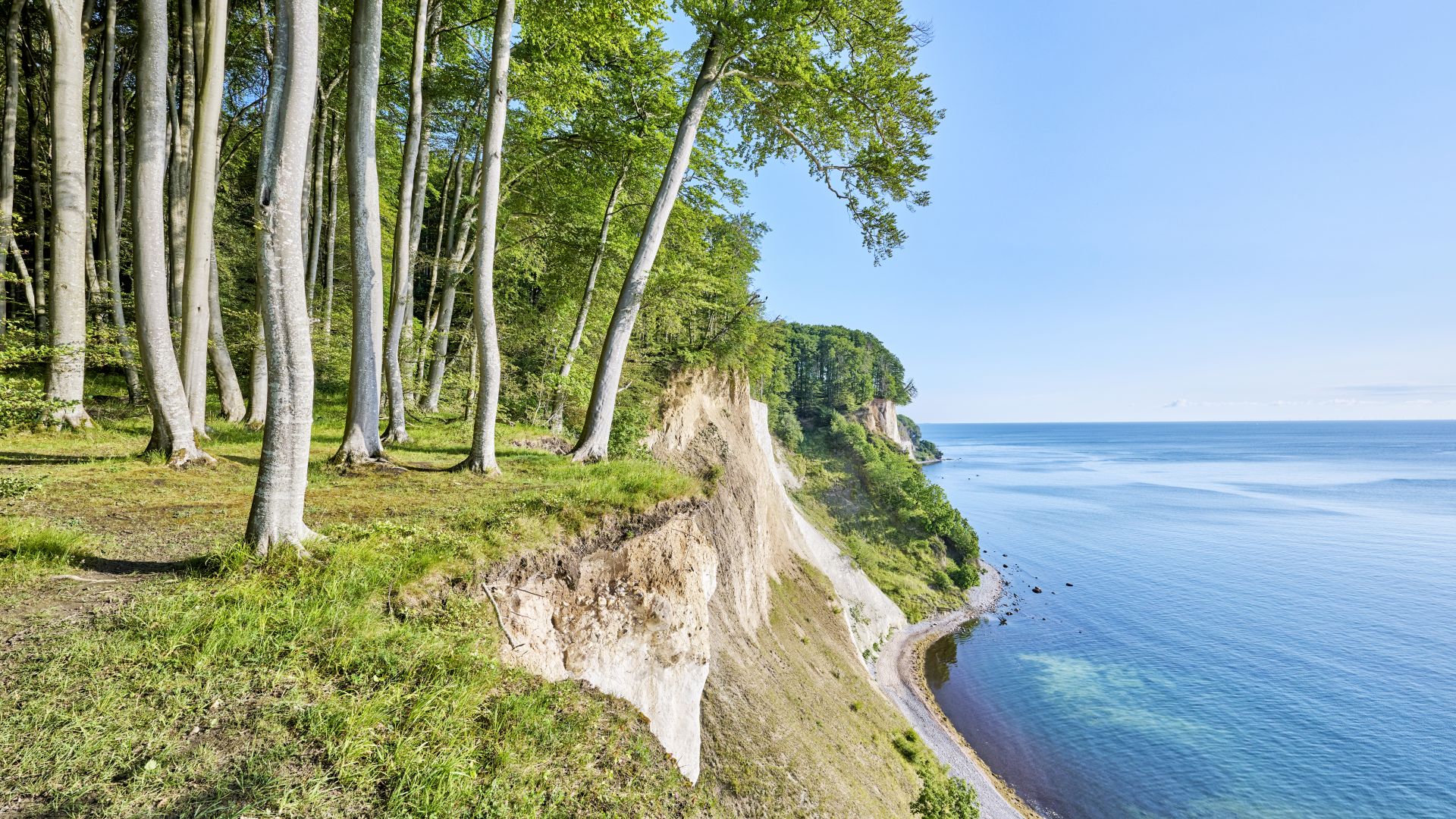 Sassnitz: View of the chalk cliffs from the high shore path