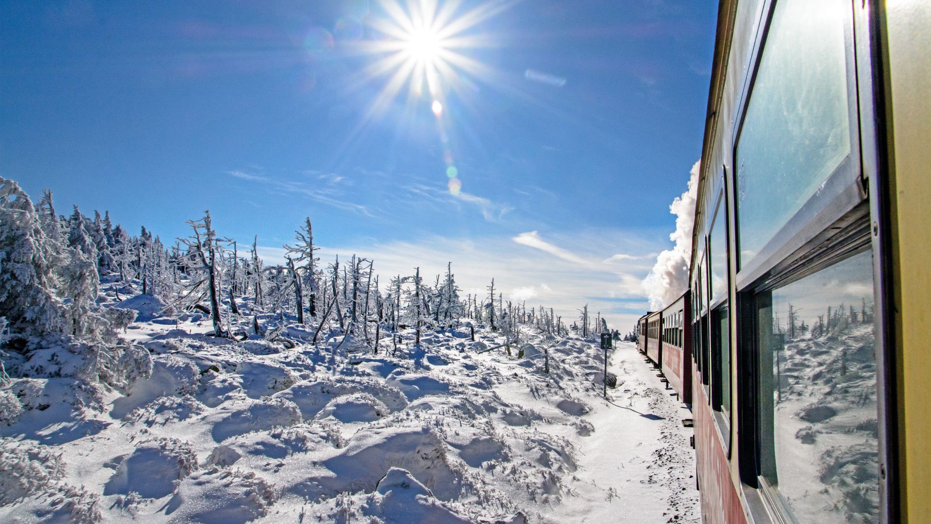 Harz: Harzquerbahn, narrow-gauge railroad with steam locomotive in the snow