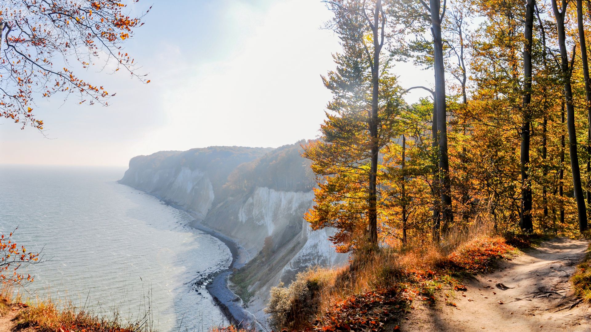 L`île de Rügen : Rochers de craie du Königsstuhl en automne, dans le parc national de Jasmund.