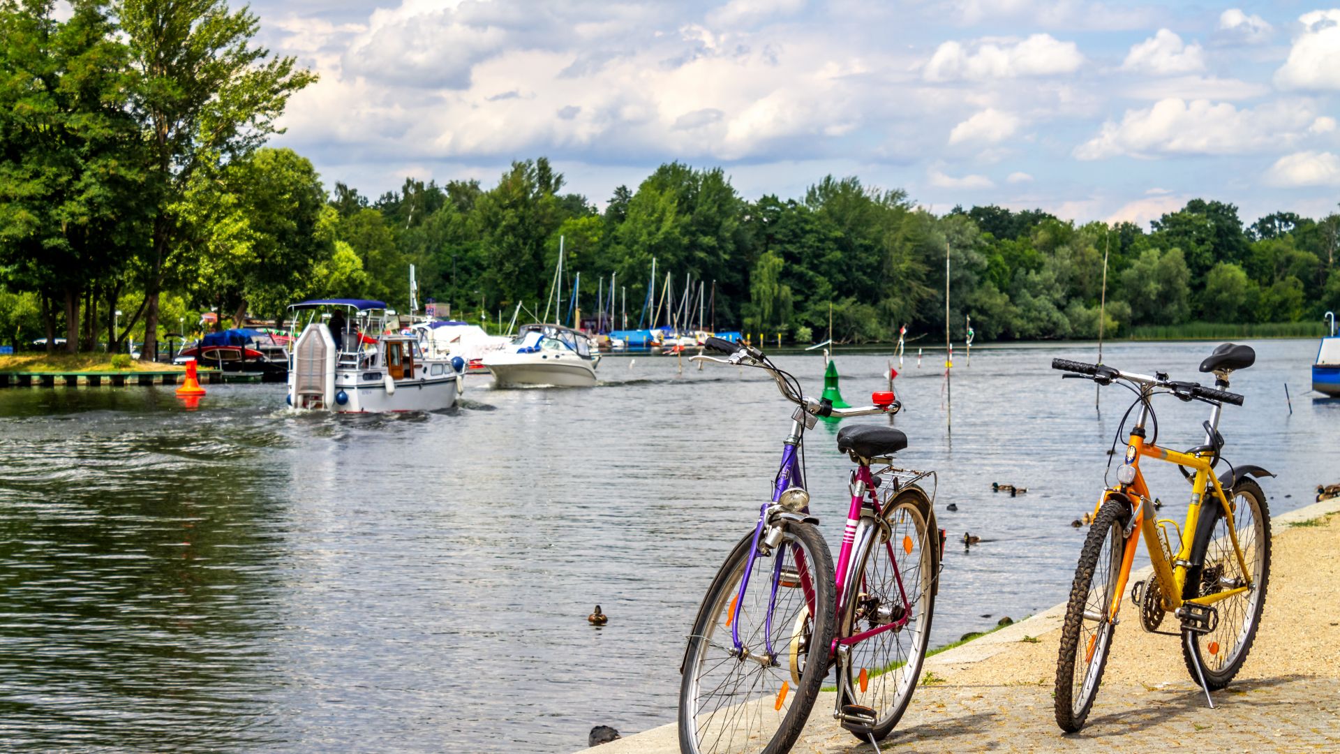 Bicycles on the banks of the Havel