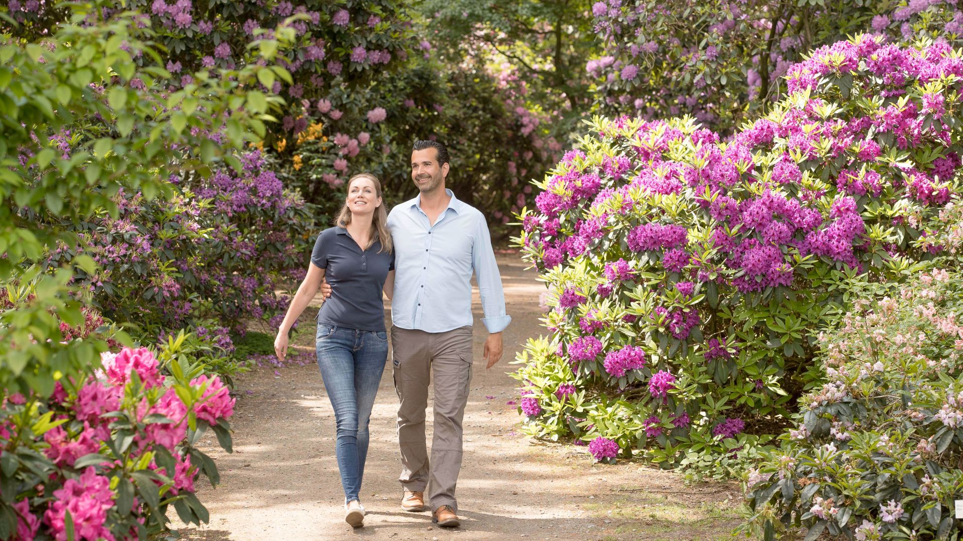 Ein Paar geht durch einen Weg in Bad Zwischenahn, mit Rhododendronbüschen auf beiden Seiten, umgeben von üppig blühenden Pflanzen in Lila und Rosa.