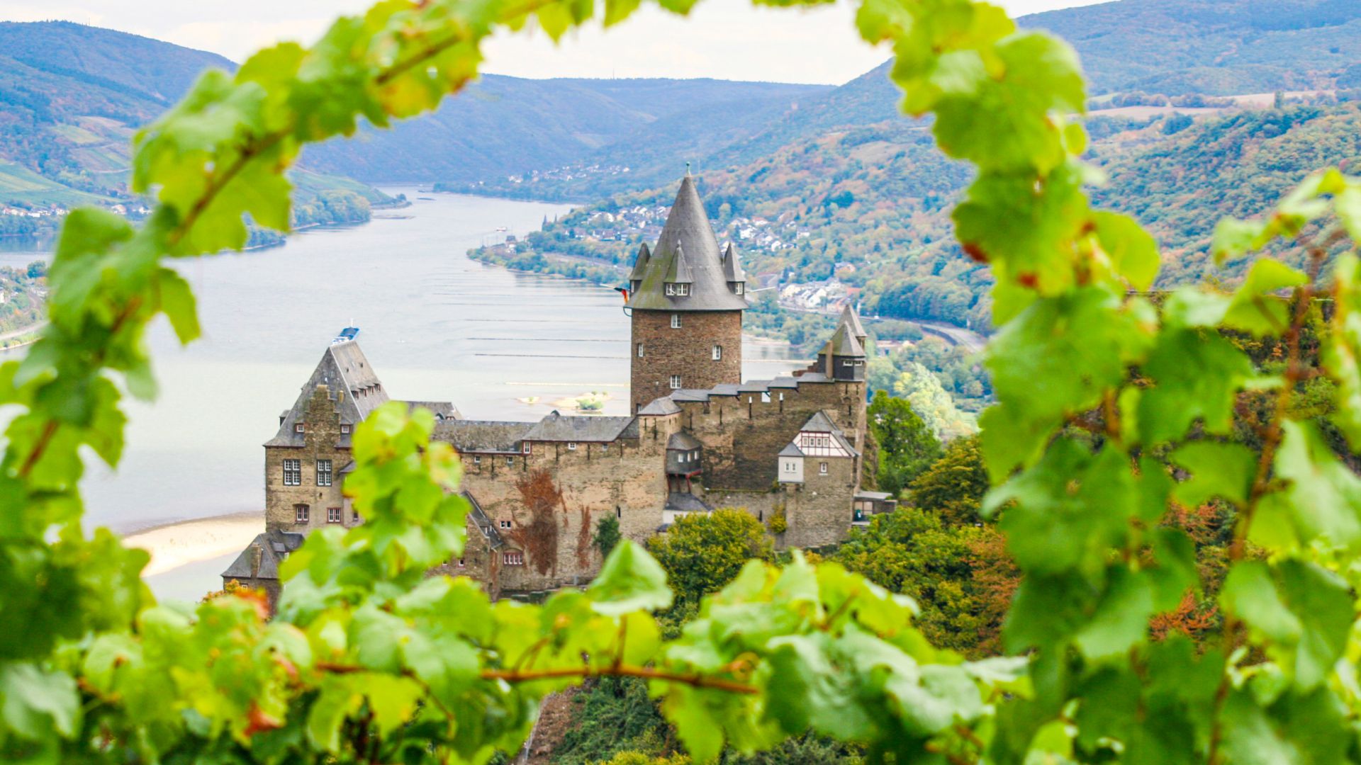 Photo of Stahleck Castle through a vine tendril. The Rhine can be seen in the background.