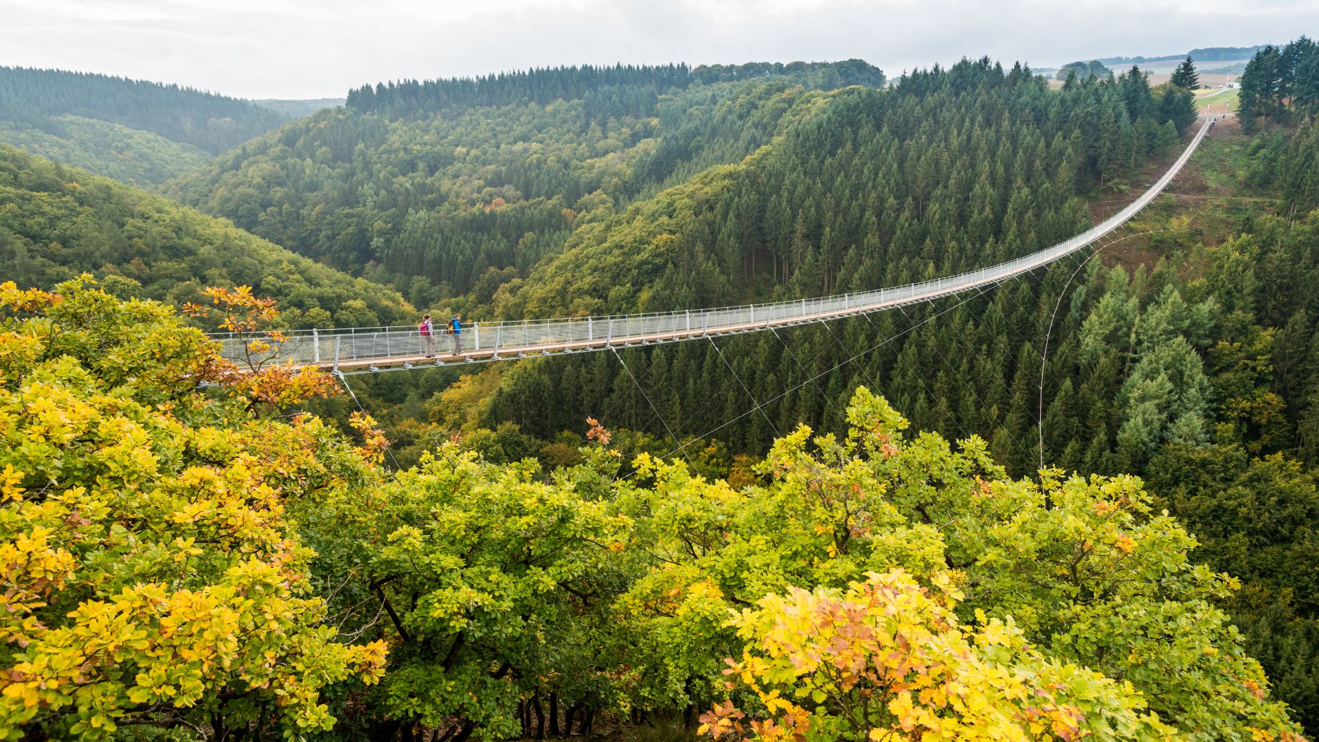 Die lange Hängebrücke Geierlay spannt sich über ein bewaldetes Tal in der Urlaubsregion Hunsrück. Die Brücke ist mit einem Geländer versehen, und ein paar Leute gehen auf ihr.