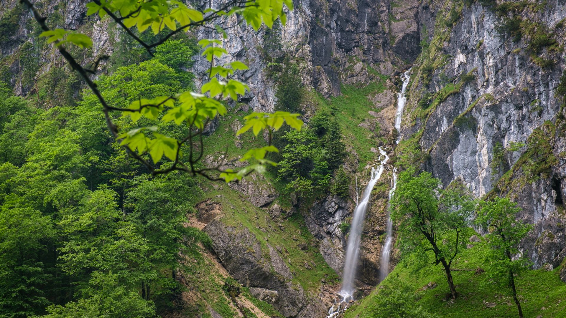 Ein Wasserfall fließt eine felsige Klippe in der Höllentalklamm hinunter, umgeben von grünen Bäumen und Pflanzen.