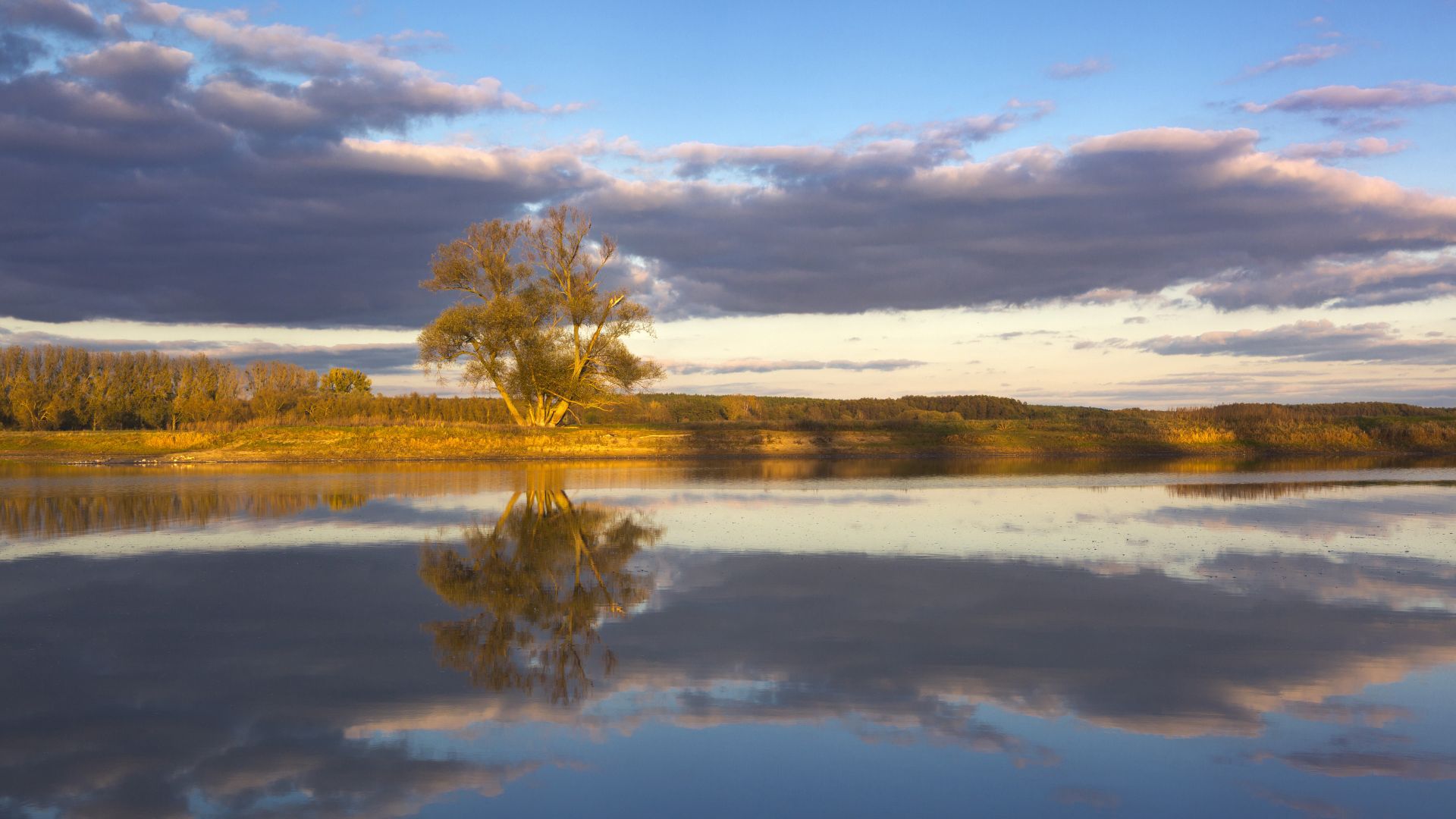 Oderbruch: Pasture on the Oder