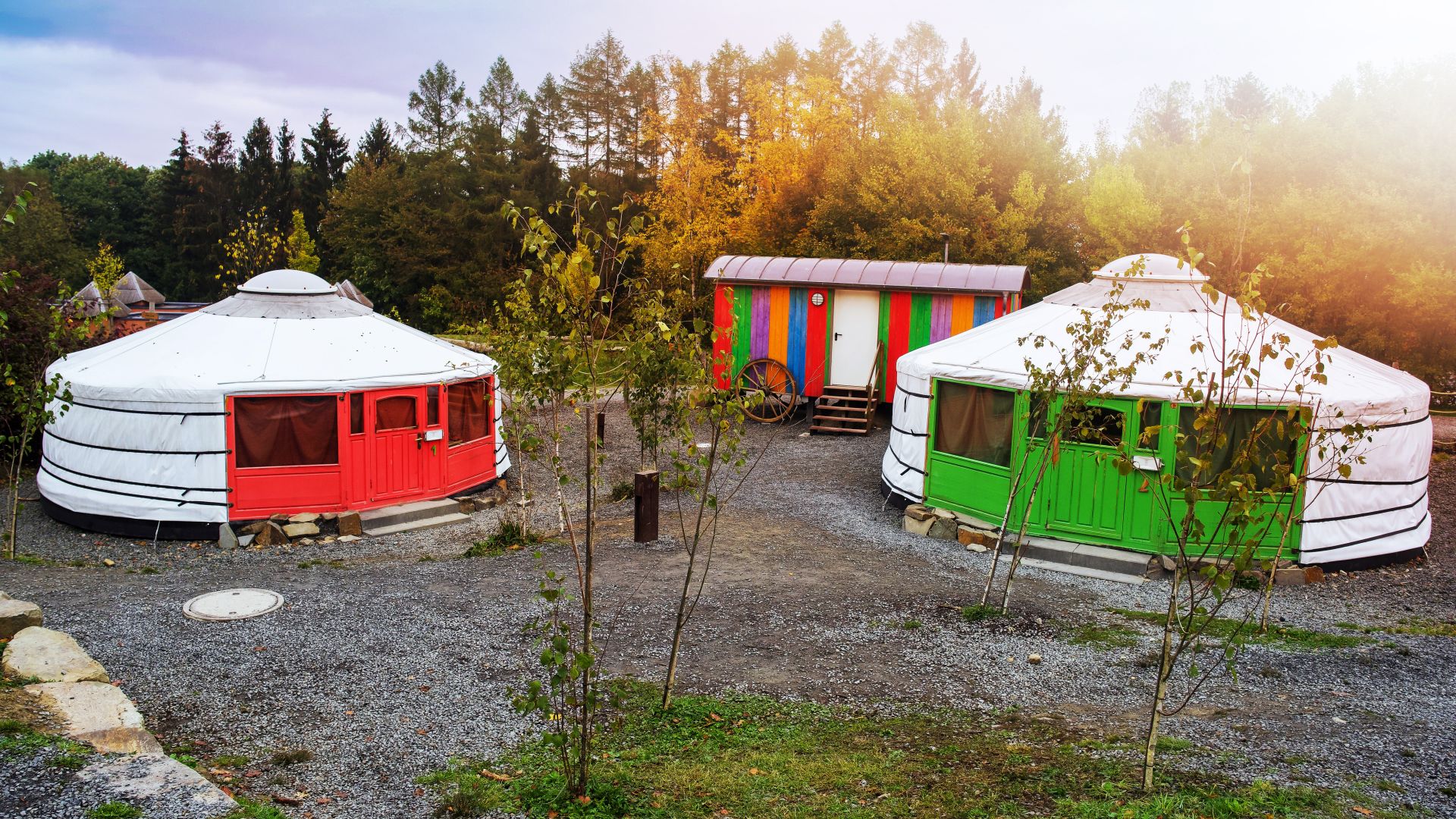 Two yurts at Panarbora Youth Hostel surrounded by forest