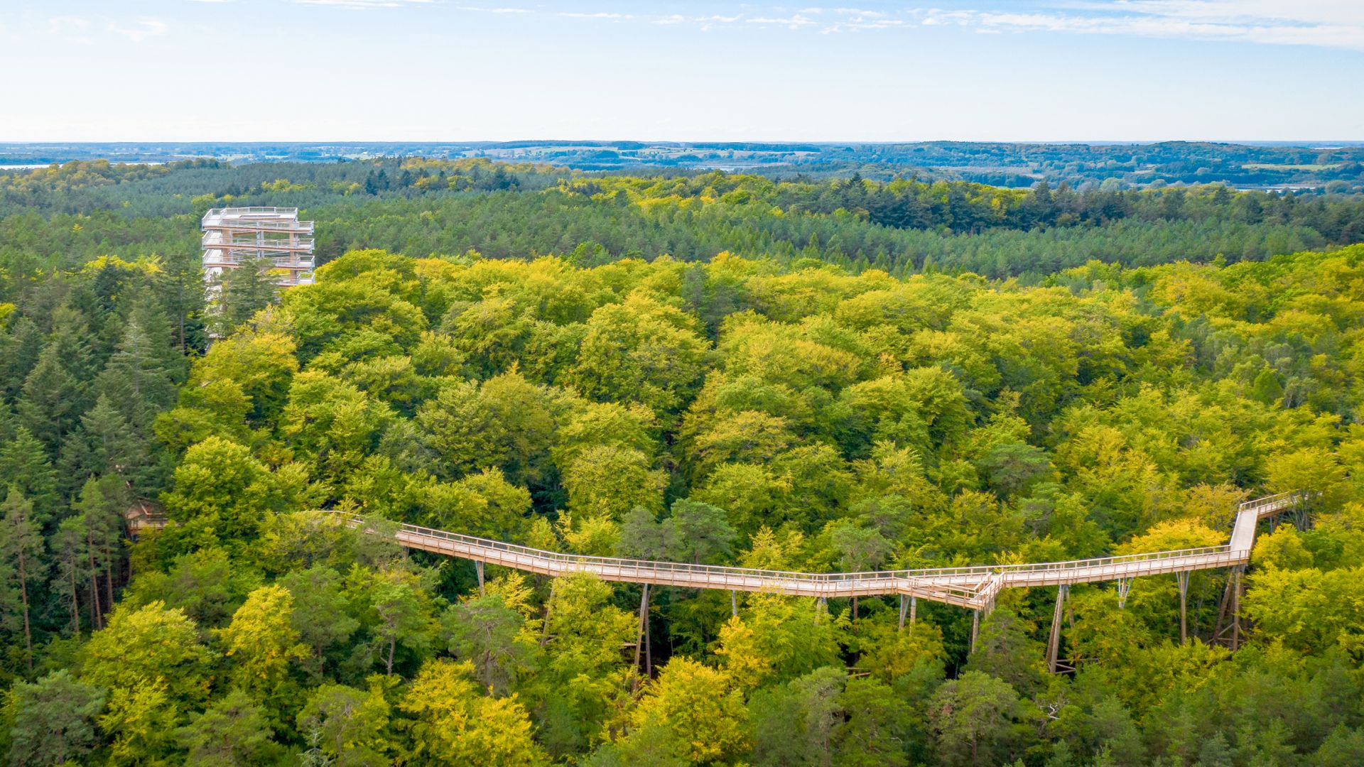 Ein hoher Aussichtsturm erhebt sich über einen dichten grünen Wald auf der Insel Usedom. Ein von Säulen getragener Baumwipfelpfad schlängelt sich durch die Baumkronen und führt zum Turm.