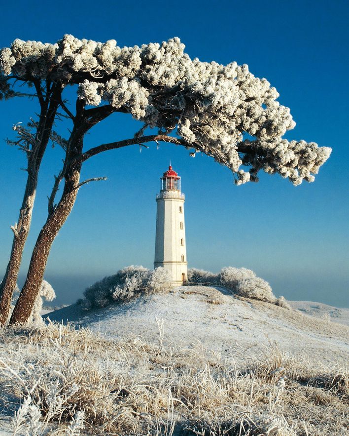 market church of halle