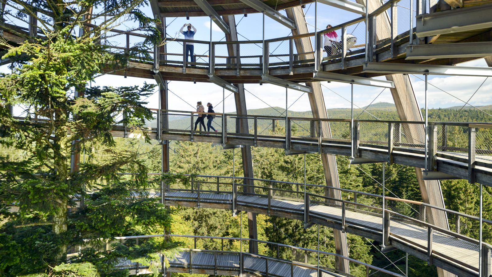 Menschen spazieren an einem sonnigen Tag auf einem Holzsteg, der sich durch und über die Bäume nach oben windet. Einige fotografieren. Im Hintergrund des Baumwipfelpfades schaut man über die bewaldeten Hügel des Bayerischen Waldes.