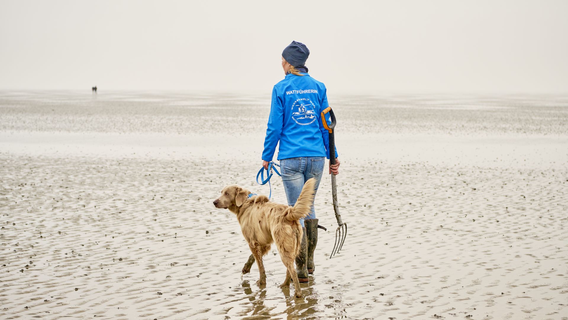 Otterndorf : guide des Wadden lors d'une promenade avec son chien sur les Wadden
