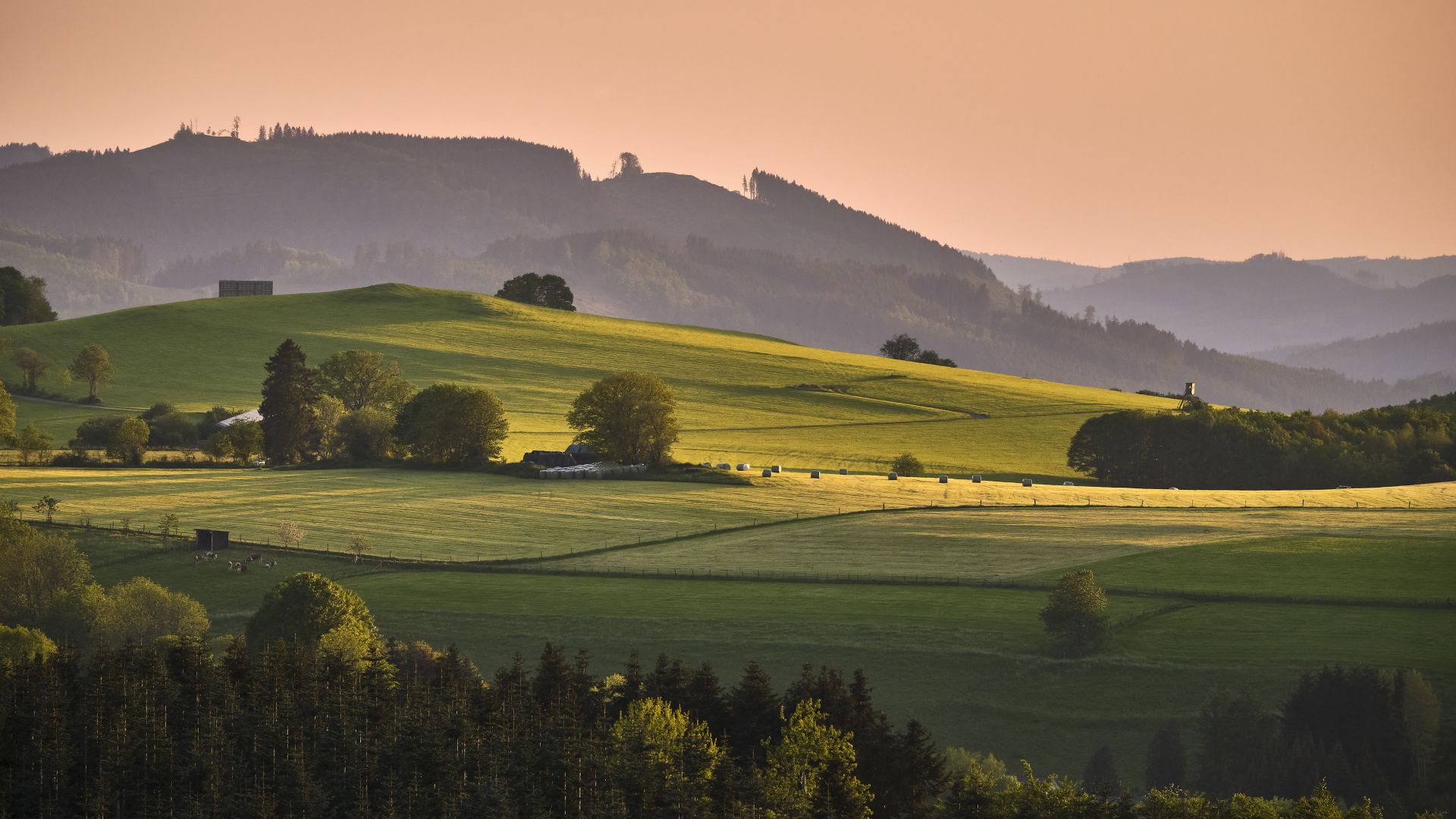 Sauerland landscape with meadows and forest
