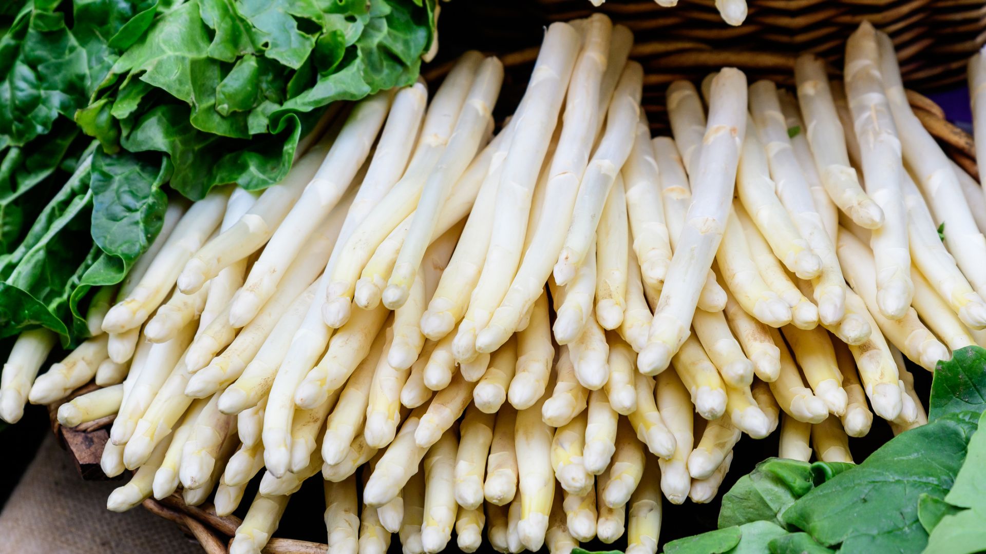 Bündel von weißem Spargel werden in einem Holzkorb zum Verkauf ausgelegt. Große grüne Blätter bedecken teilweise die Seiten des Spargels.