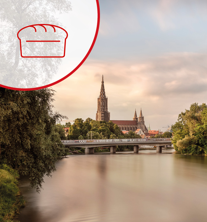 Fahrt auf der Donau mit Aussicht auf das Münster