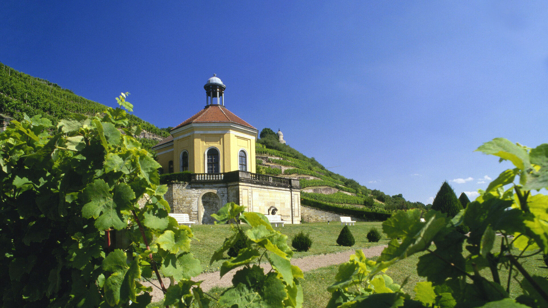 Radebeul: The wine-growing area Saxony