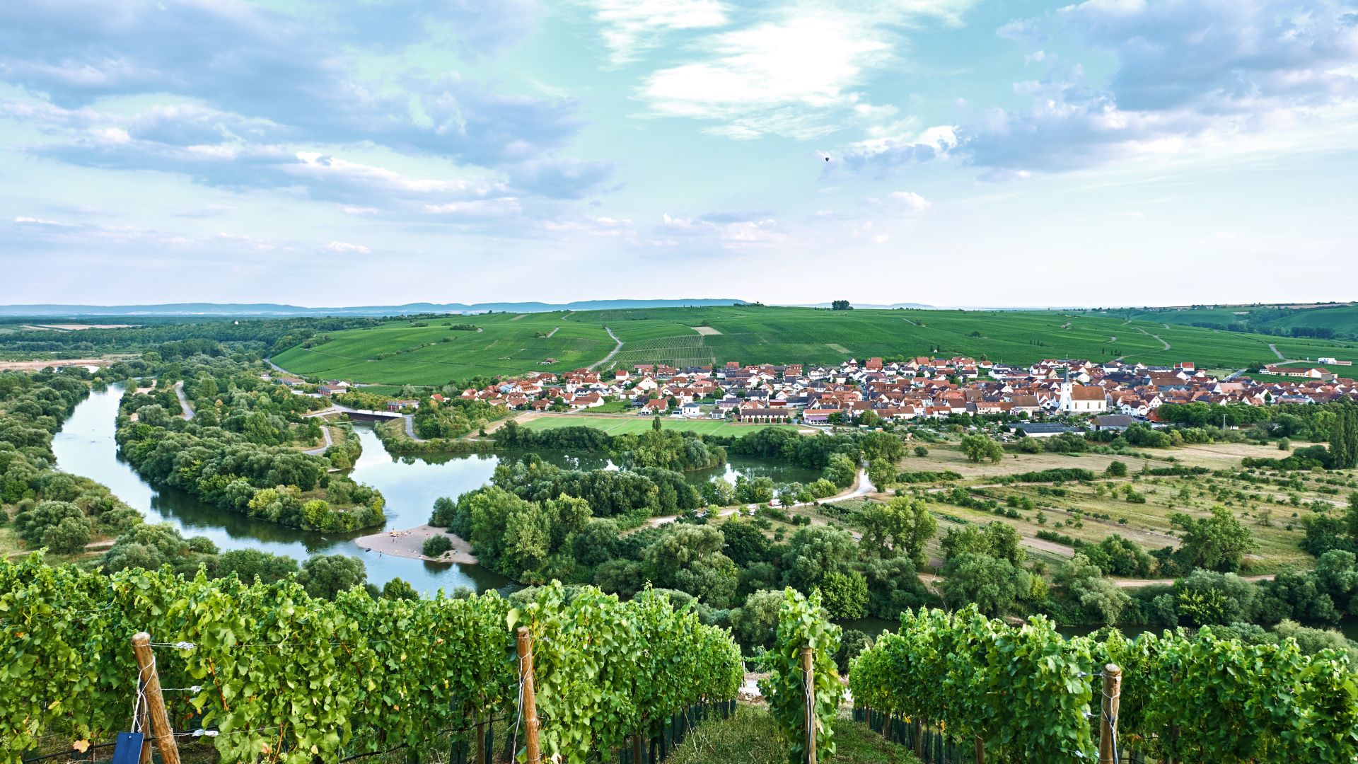 Vineyards along the river Main, Mainschleife