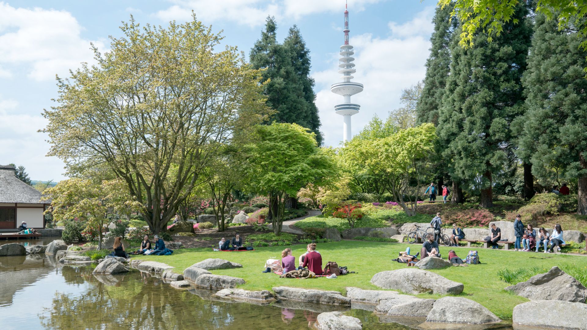 Menschen entspannen sich auf dem Rasen in der Nähe eines Teiches im Park Planten un Blomen in Hamburg. Im Hintergrund sind Bäume und Blumen, und hinter ihnen ist ein hoher Fernsehturm zu erkennen. Der Himmel ist meist klar mit weißen Wolken.