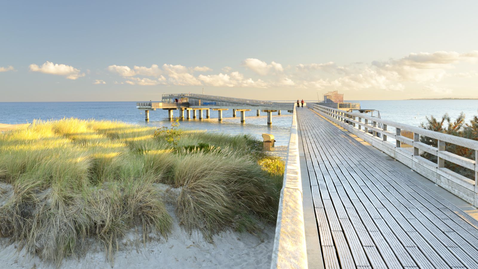 Ponton au bord de la mer Baltique, avec des planches de bois et une balustrade, la végétation dunaire au premier plan et une vue sur la mer baignée par la lumière chaude du soir