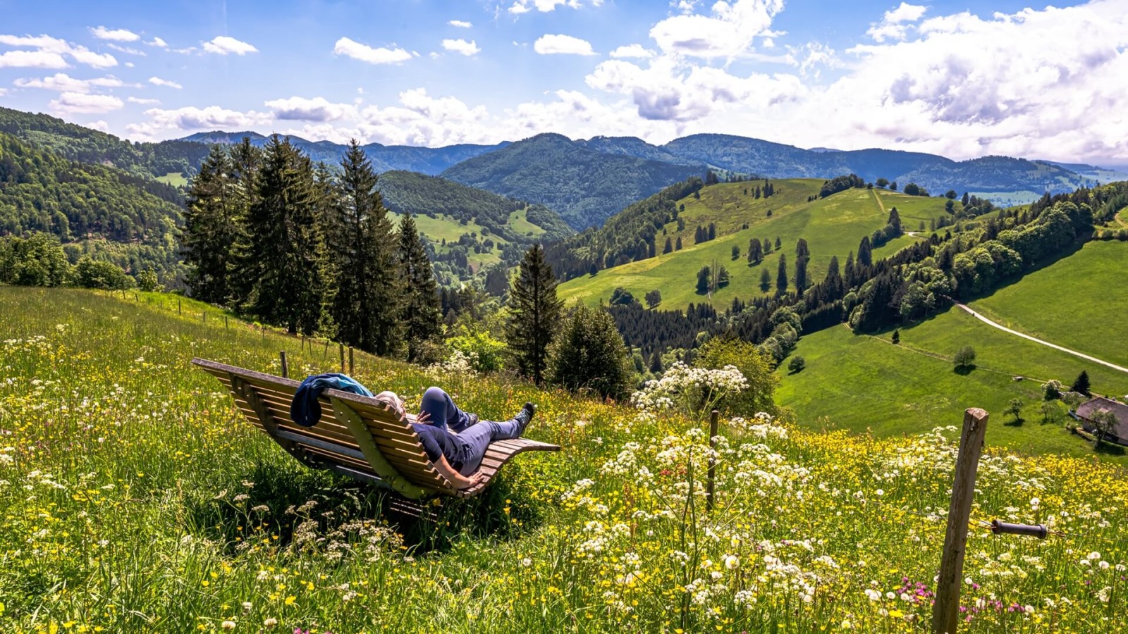 Personne profitant d'une vue panoramique dans la région du Belchen, en Forêt-Noire