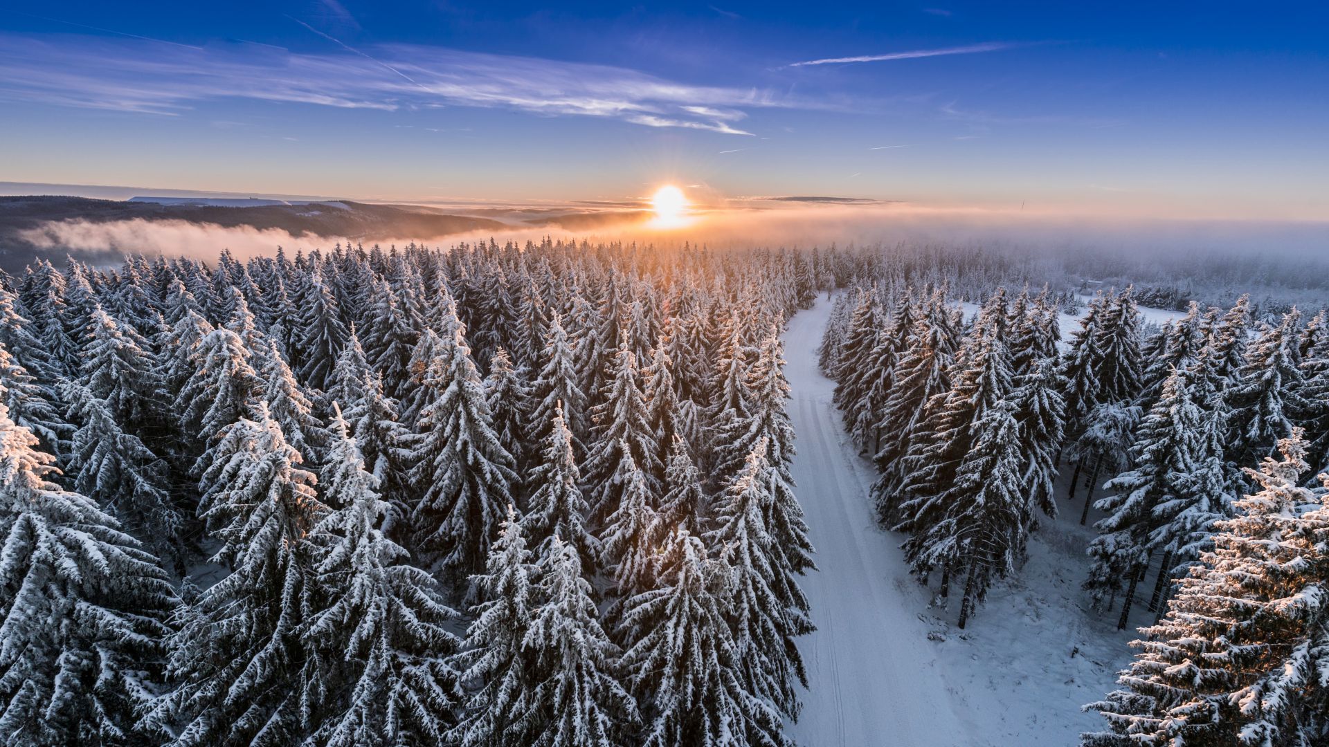 Masserberg / Schleusegrund : Forêt de Thuringe enneigée au lever / au coucher du soleil