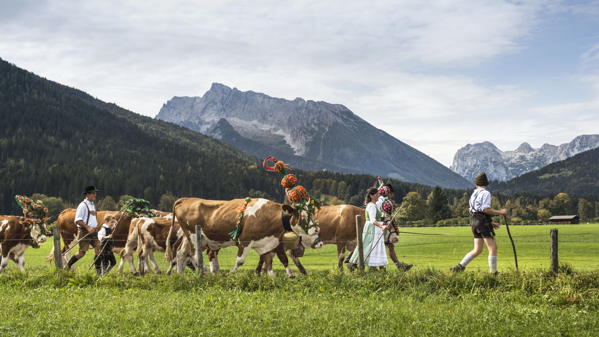 Berchtesgaden: Kühe und Hirten beim Almabtrieb von der Saletalm