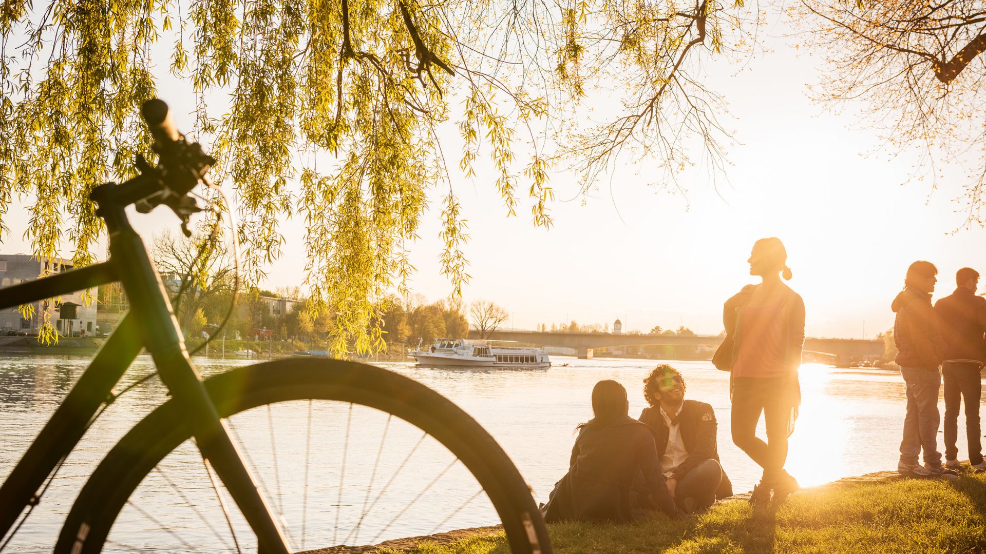 Lake Constance: Relaxing on the shore in the evening sun