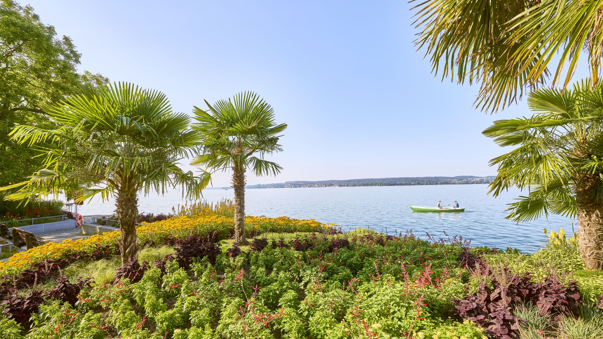 Blick auf den Bodensee, umrahmt von Palmen und blühenden Pflanzen, mit einem Boot auf dem Wasser