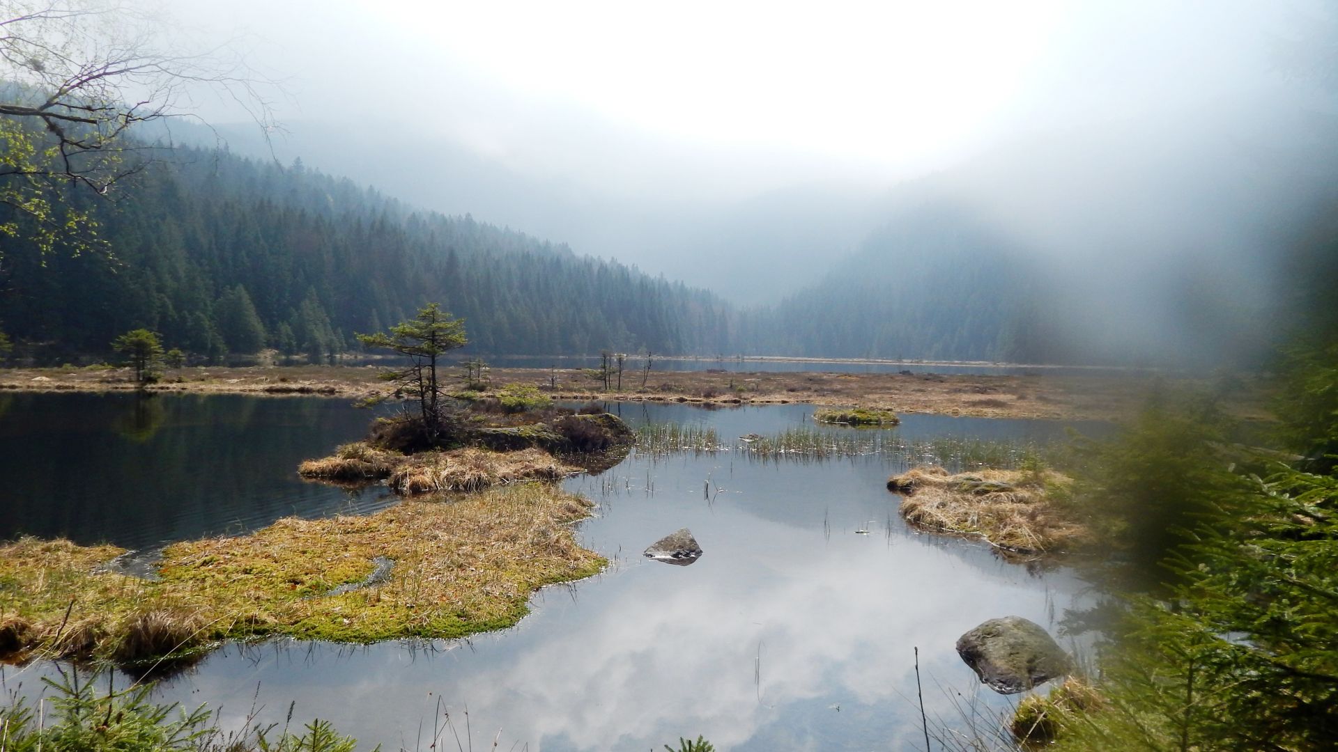 Naturpark Bayerischer Wald: Kleiner Arbersee