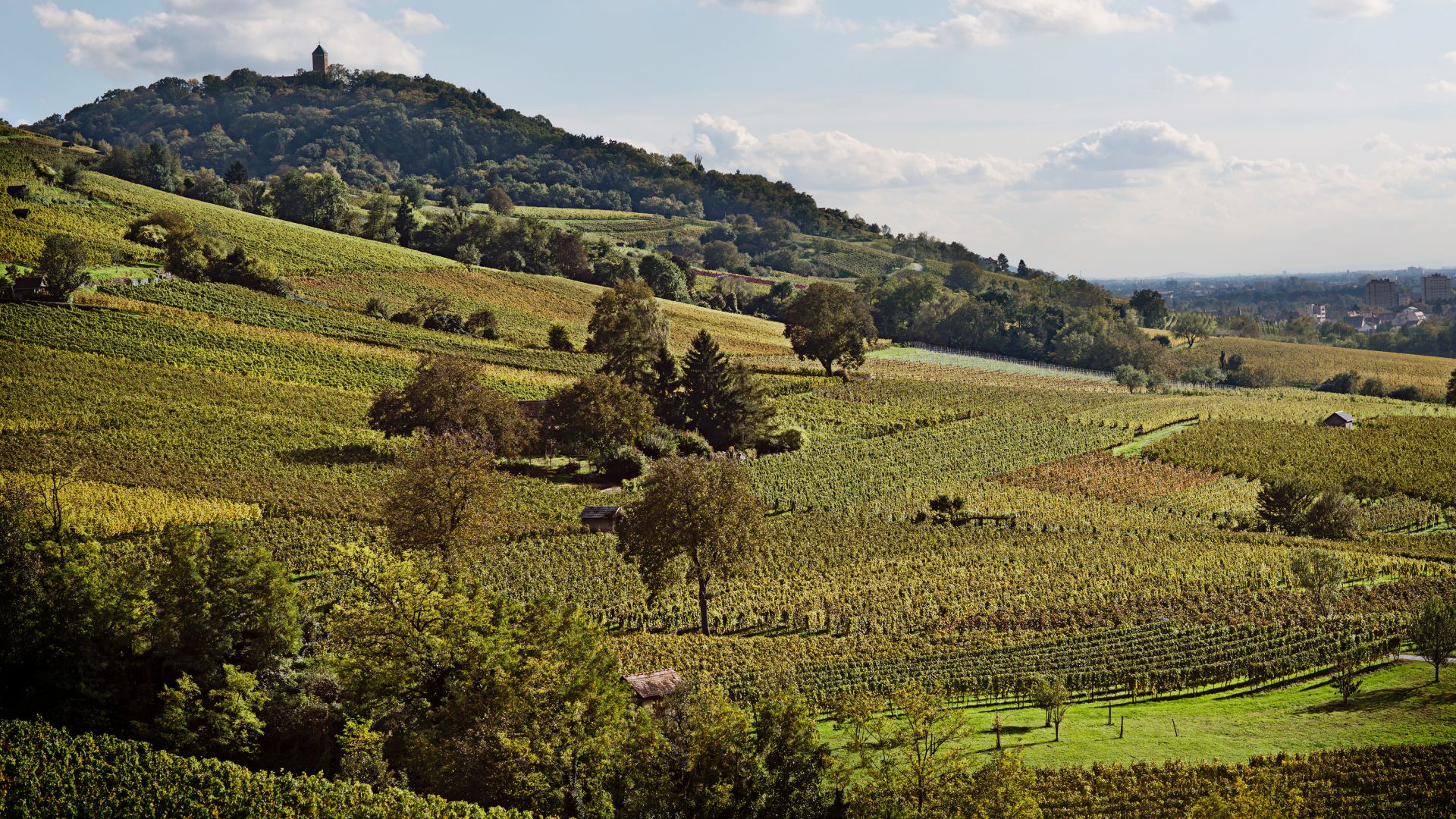 Hessische Bergstrasse wine region: Starkenburg Castle in Heppenheim