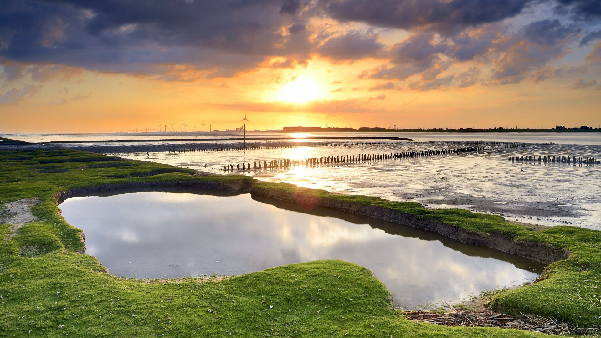 Dollern: Vue sur les vasières ensoleillées du parc national de la mer des Wadden en Basse-Saxe