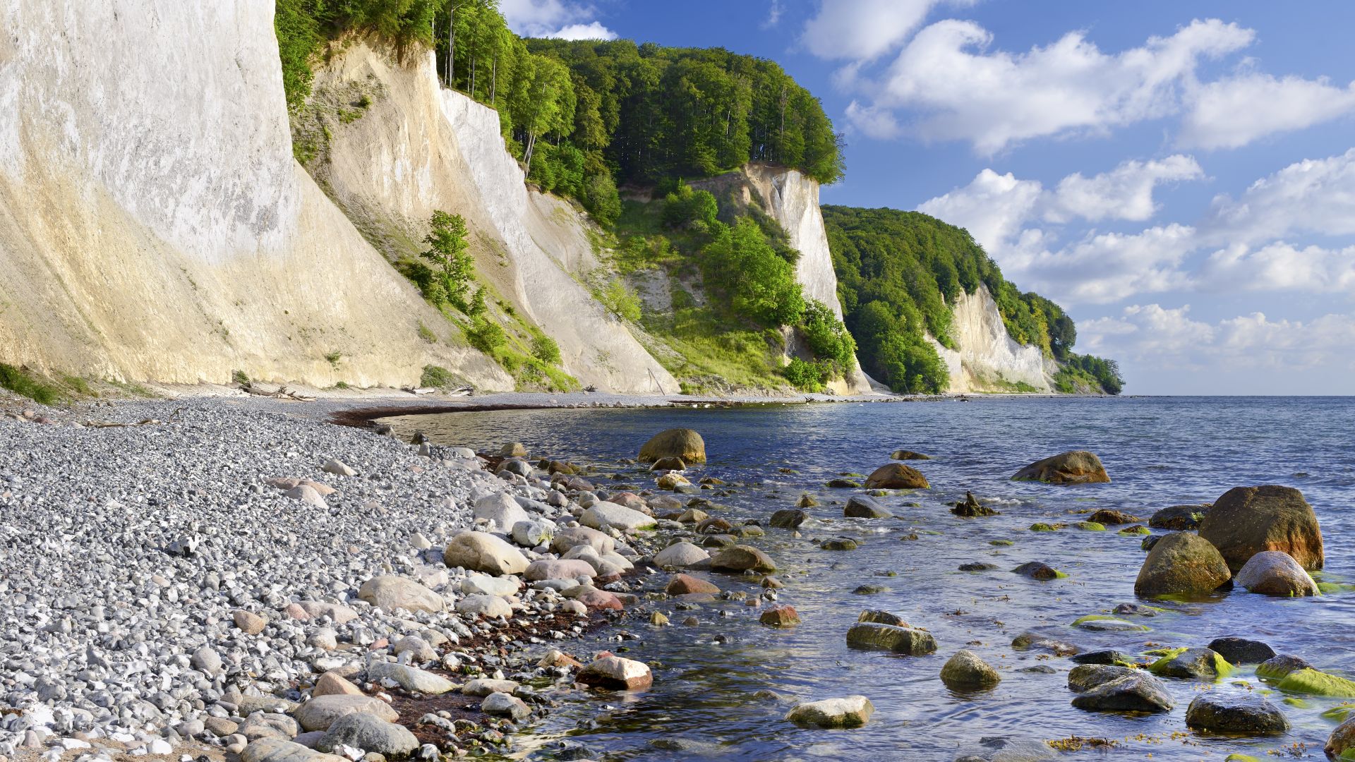 Rügen: Kreidefelsen im Nationalpark Jasmund