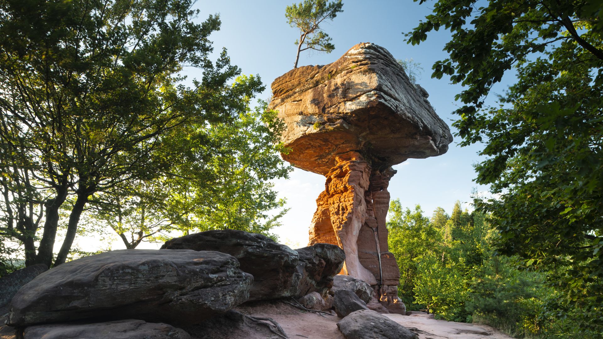 Eine große Felsformation steht im Naturpark Pfälzerwald, Lambrecht, umgeben von grünen Bäumen und Sträuchern