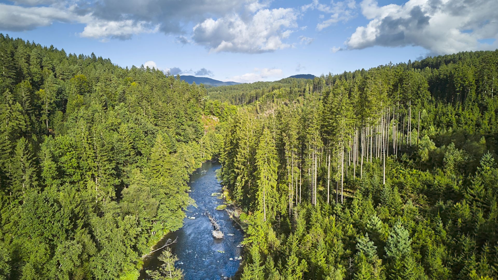The course of the river meanders through dense green forest with tall conifers, surrounded by wooded hills under a dramatic sky with large clouds