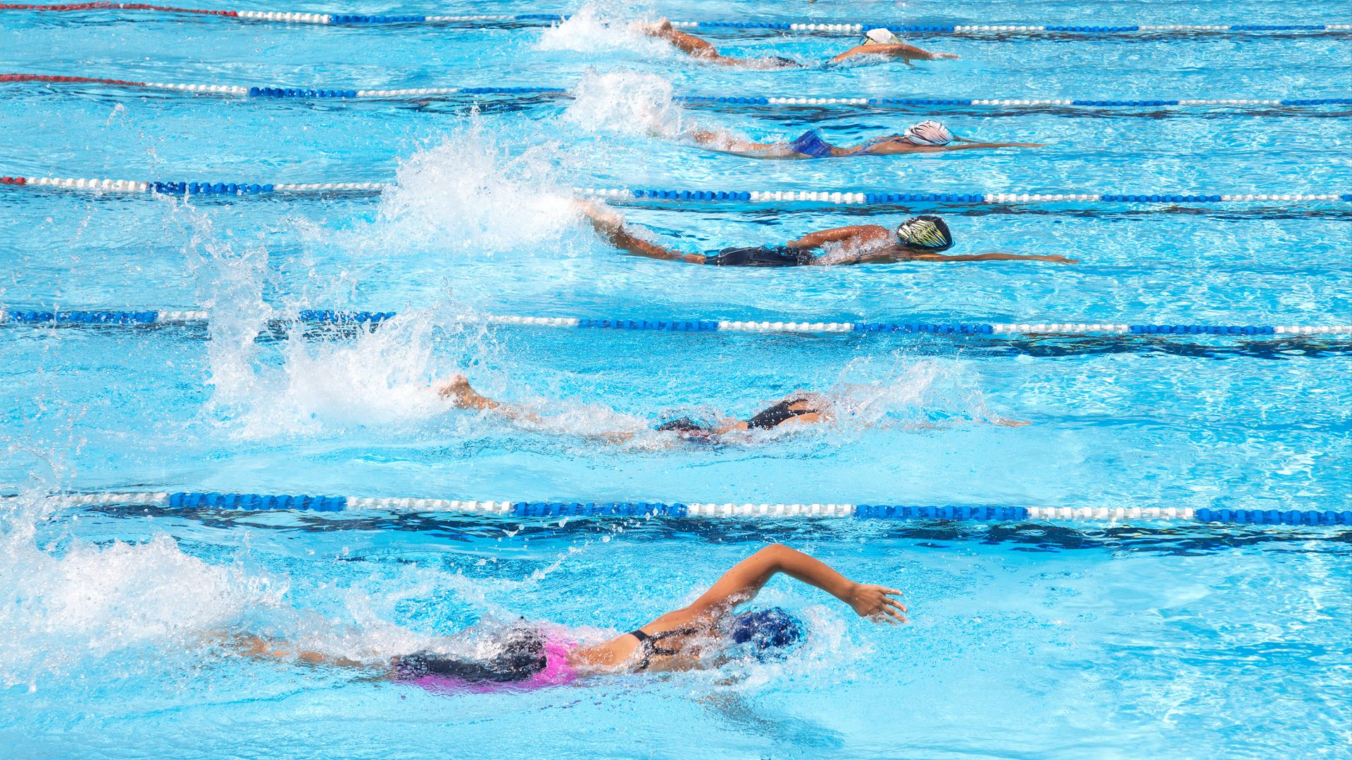 Several swimmers in a swimming competition in the pool