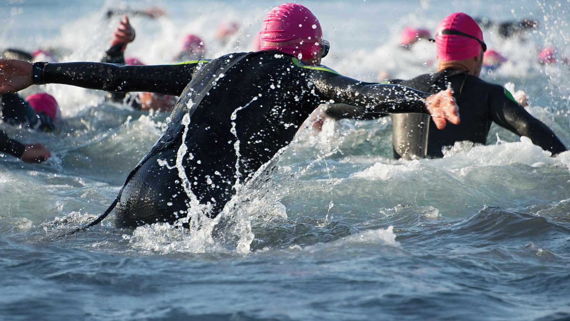 Several triathletes swim in open water