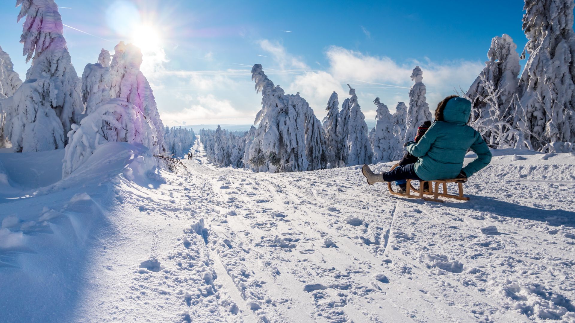 Erzgebirge: Mother and child ride sledges in the snowy mountains