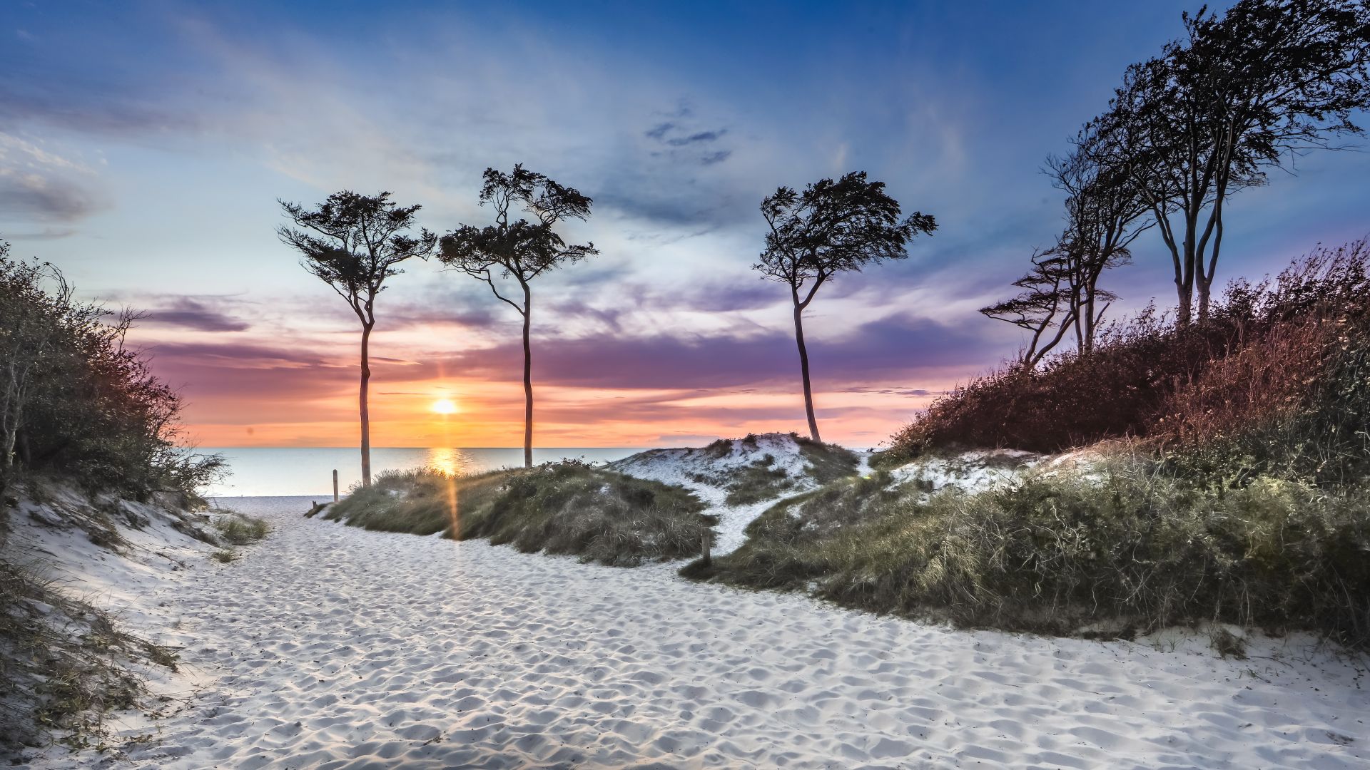 Darßer / Fischland : Plage de Darßer au coucher du soleil