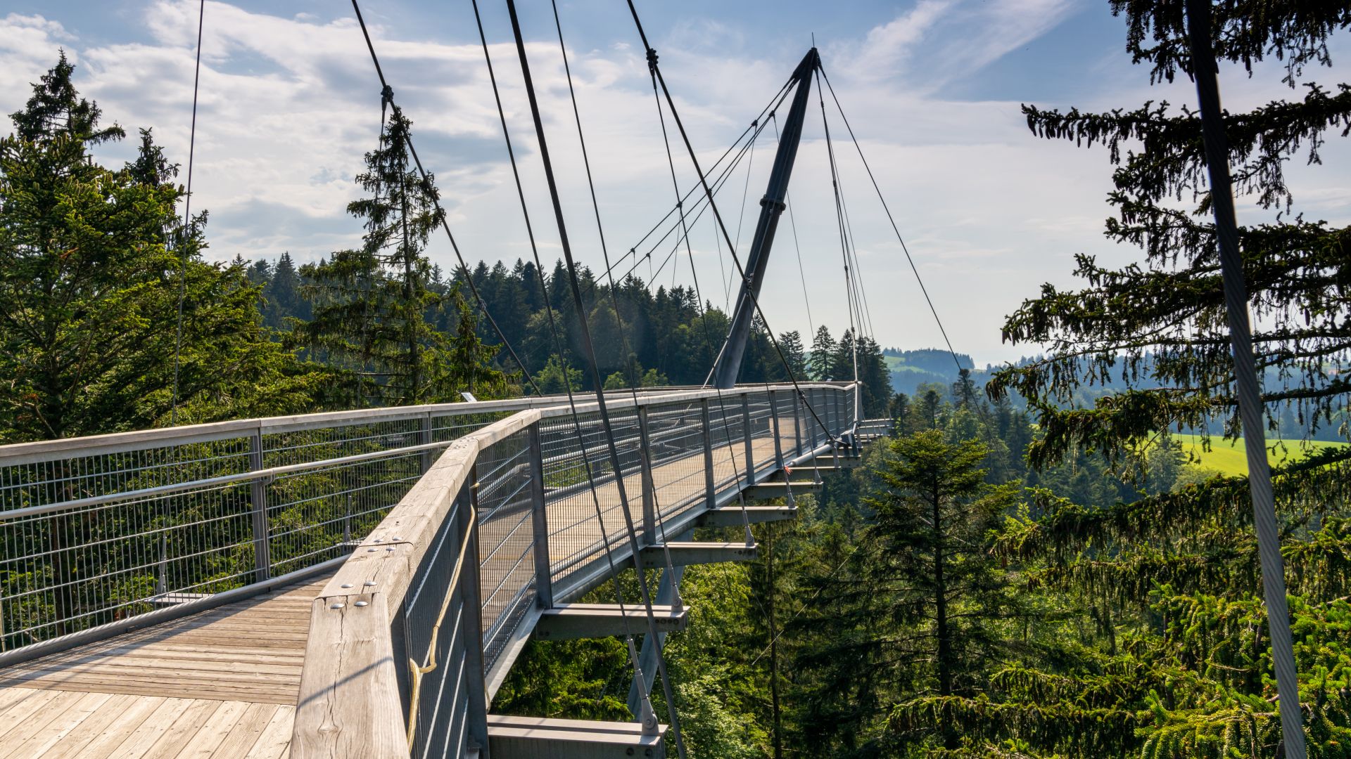 Scheidegg: Promenade sur le Skywalk avec vue sur l'Allgäu