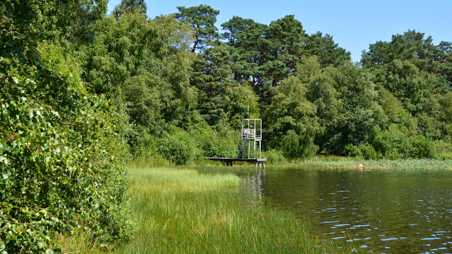 A narrow wooden footbridge with a platform juts out into the clear Großer Bullensee, surrounded by dense forest and reeds under a blue summer sky